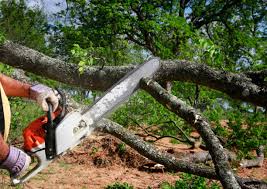 Best Pest Control for Lawns  in Bay Point, CA